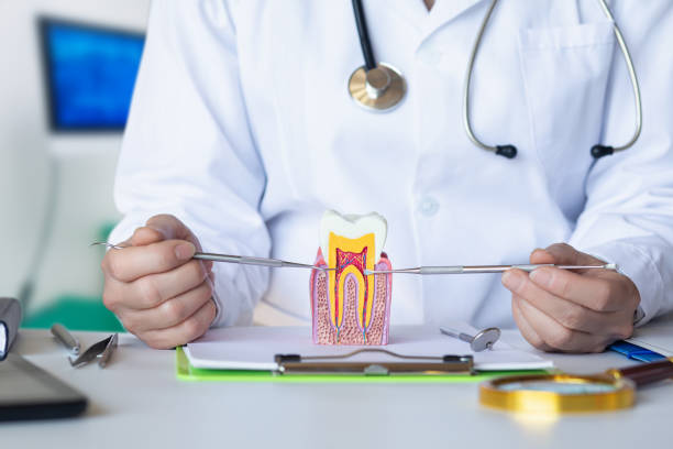Best Emergency Root Canal Treatment in Mitchell, IL